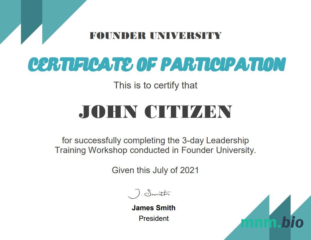 USA Business School Cert